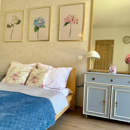 ゲストハウス I Belle Epoque